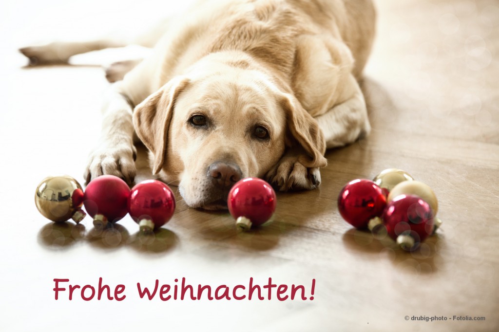 Weihnachtsgrüße für Ausbilder