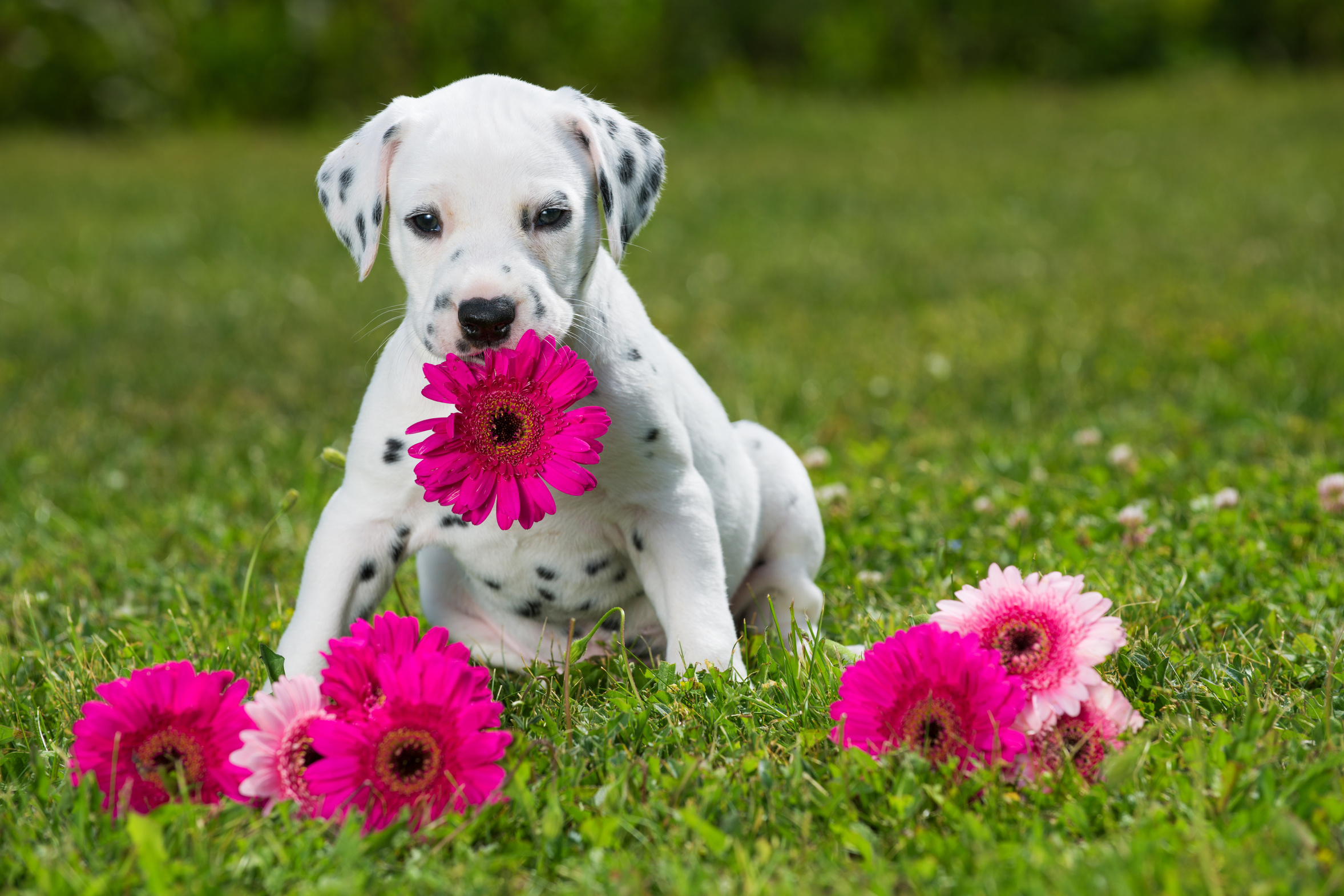 Azubiflüsterer kommunizieren nicht durch die Blume